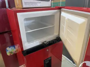 305 Litres Hisense Double Door Refrigerator