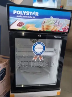 Best Modern Polystar Upright Showcase Chiller "Pv-255bcll"