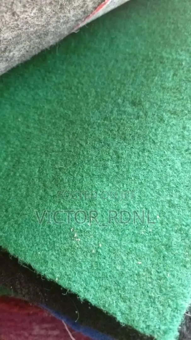 Fluffy Indoor Rug