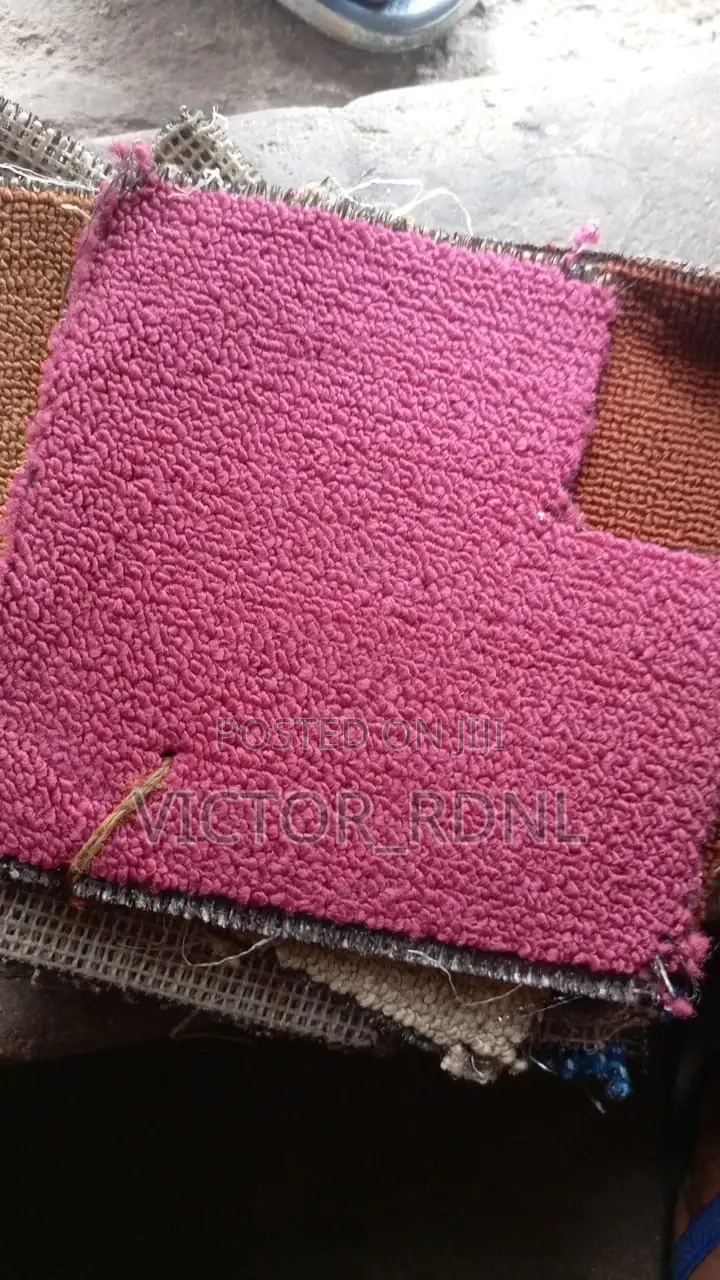 Fluffy Indoor Rug