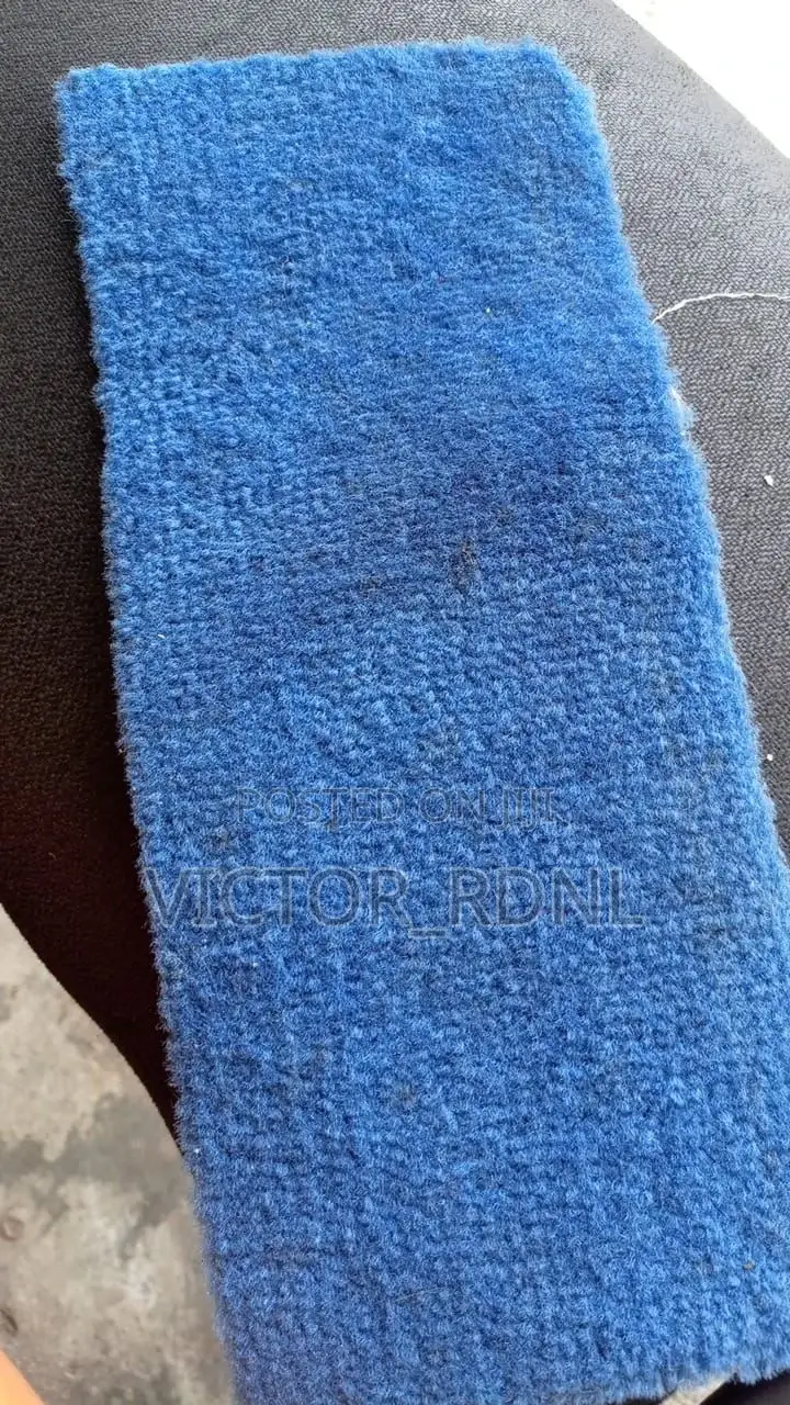 Fluffy Indoor Rug