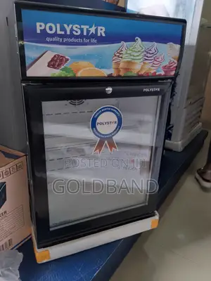 A Very Strong Polystar Upright Showcase Chiller Pv-255bcll