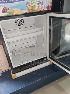 Best Relable Polystar Upright Showcase Chiller "Pv255bcll"