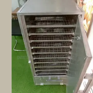 Industrial 100kg Fruit Dehydrator For Optimal Results