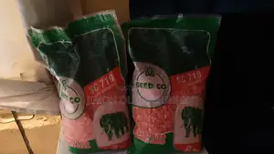 Seeco Sc 719 Hybrid White Maize Seed (2kg)