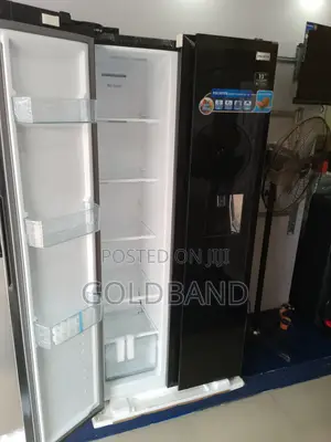 Best Reliable Pv-Sbs775wd-Inv 500L Polystar Fridge