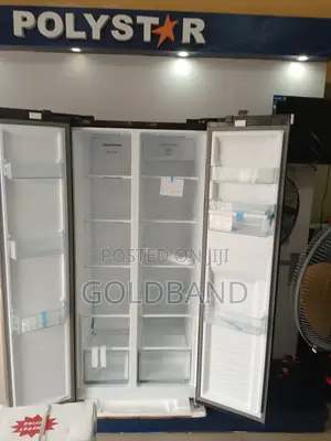 Best Effective Pv-Sbs775wd-Inv Polystar 500L Fridge