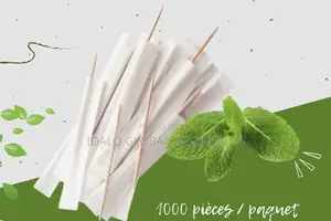 Wrapped Minted Toothpicks - 1000pcs