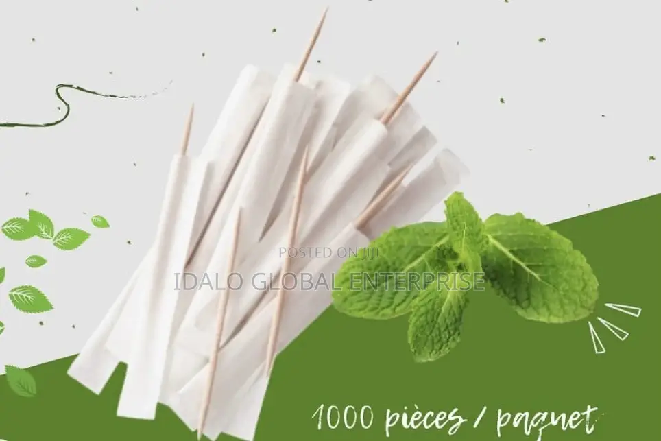 Wrapped Minted Toothpicks - 1000pcs