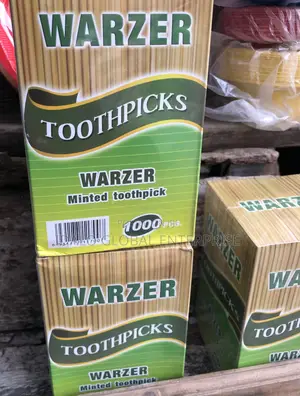 Wrapped Minted Toothpicks - 1000pcs