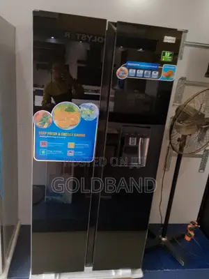 The Best Produced Pv-Sbs775wd-Inv Polystar 500L Fridge