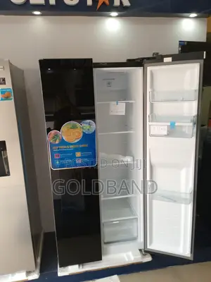 Highly Efficient Pv-Sbs775wd-Inv Polystar 500L Fridge