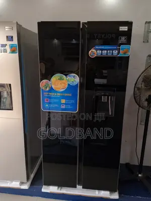 Top Selling and Strong Pv-Sbs775wd-Inv 500L Polystar Fridge