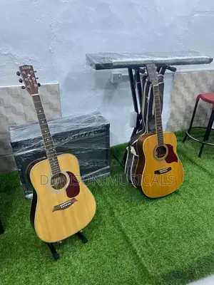 Dame Acoustic Guitar  