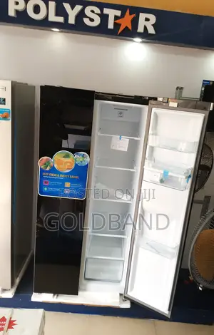Effective and Strong "Pv-Sbs775wd-Inv" 500L Polystar Fridge
