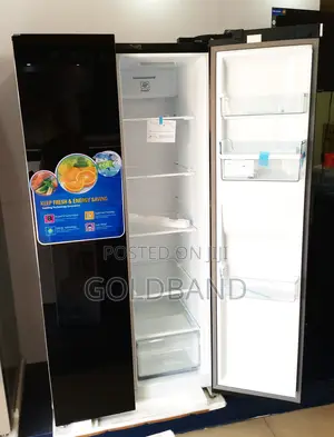 An Effective "Pv-Sbs775wd-Inv" 500L Polystar Fridge