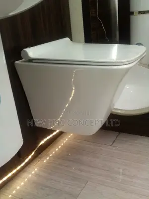 Wall Hung Toilet Seat