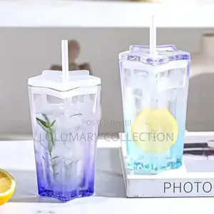 Portable Glass Cup With Straw – Leak-Proof Drinking Jar