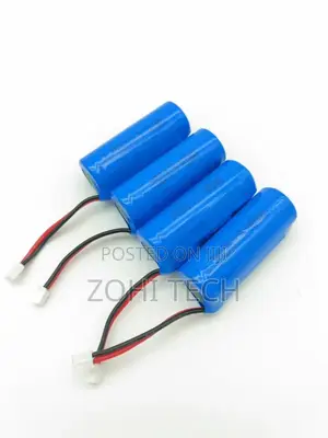 Lithium Batteries