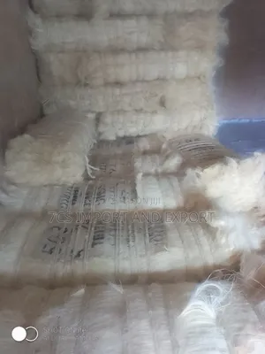 Ss Ug Kenya Fillers