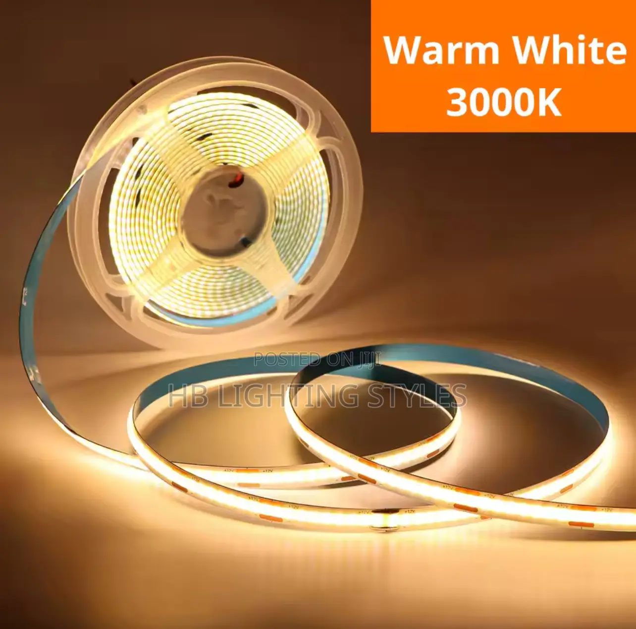10 Meters DC12V LED Strip Lights COB Light