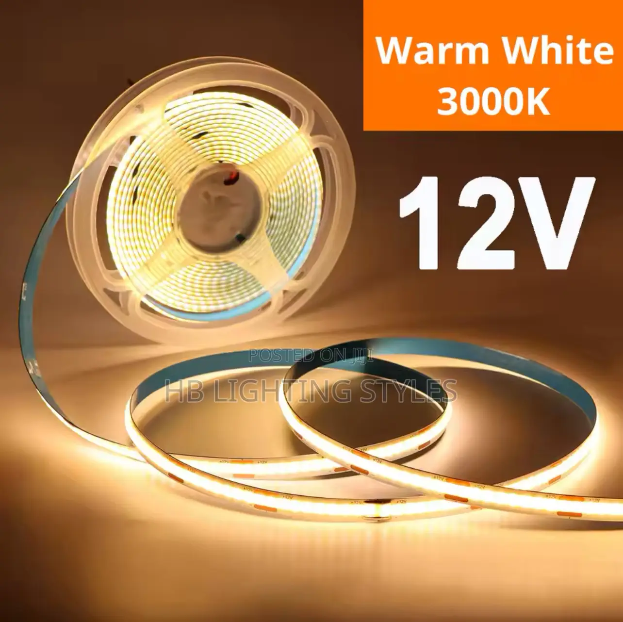 10 Meters DC12V LED Strip Lights COB Light