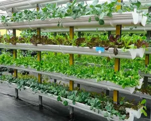 Hydroponic Gardening System