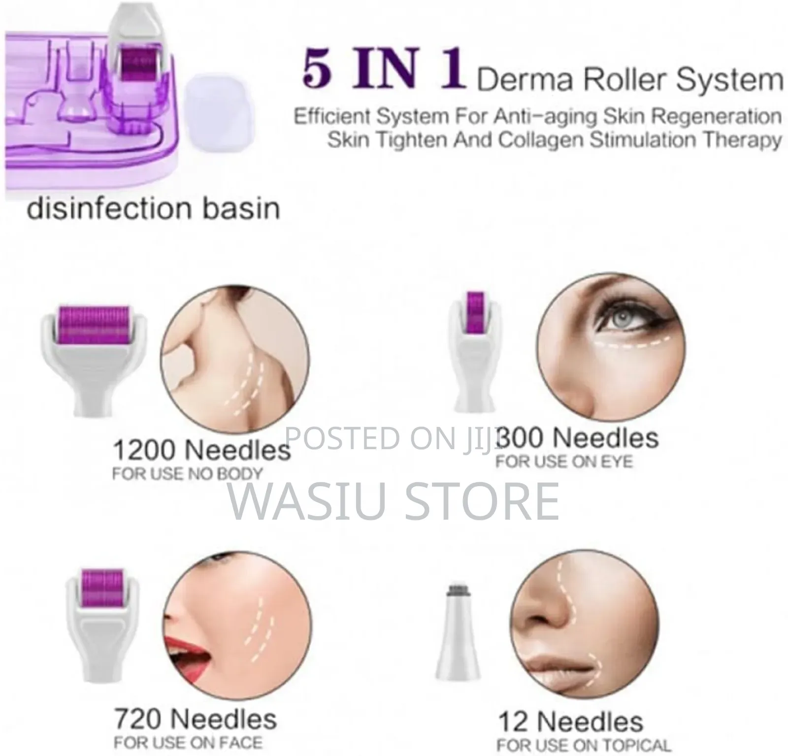 5 in 1 Derma Roller System