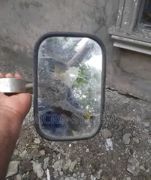 Ford Econoline Side Mirror