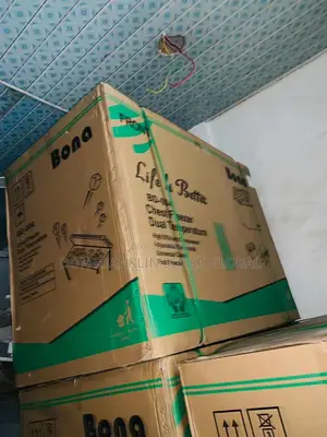318liter Bona Dc/Ac Solar Energy Freezer
