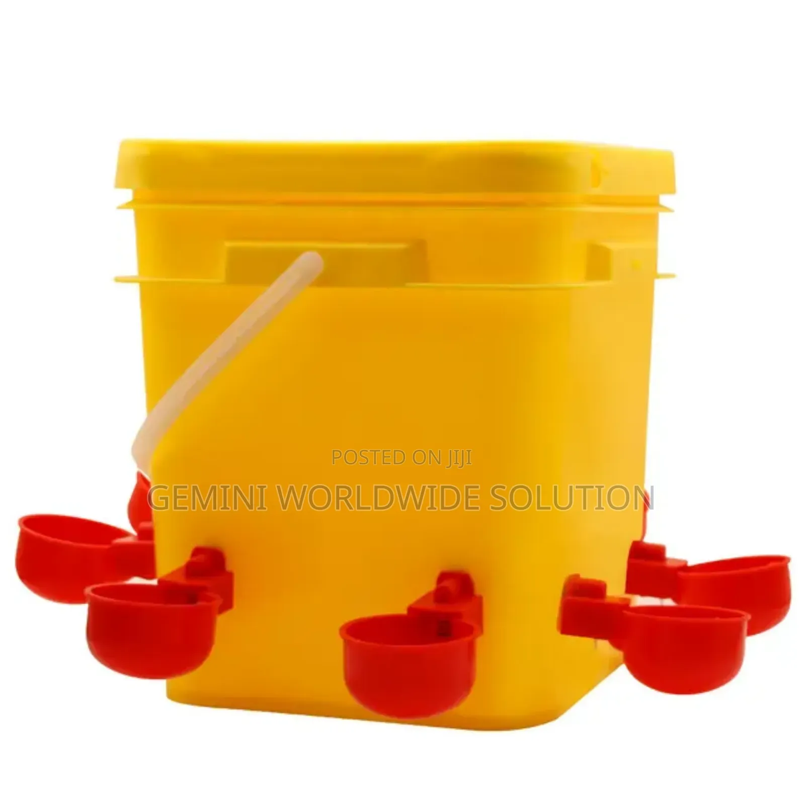 Bird Cup Drinker