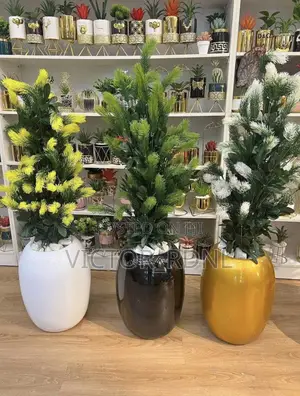 Flower Pots