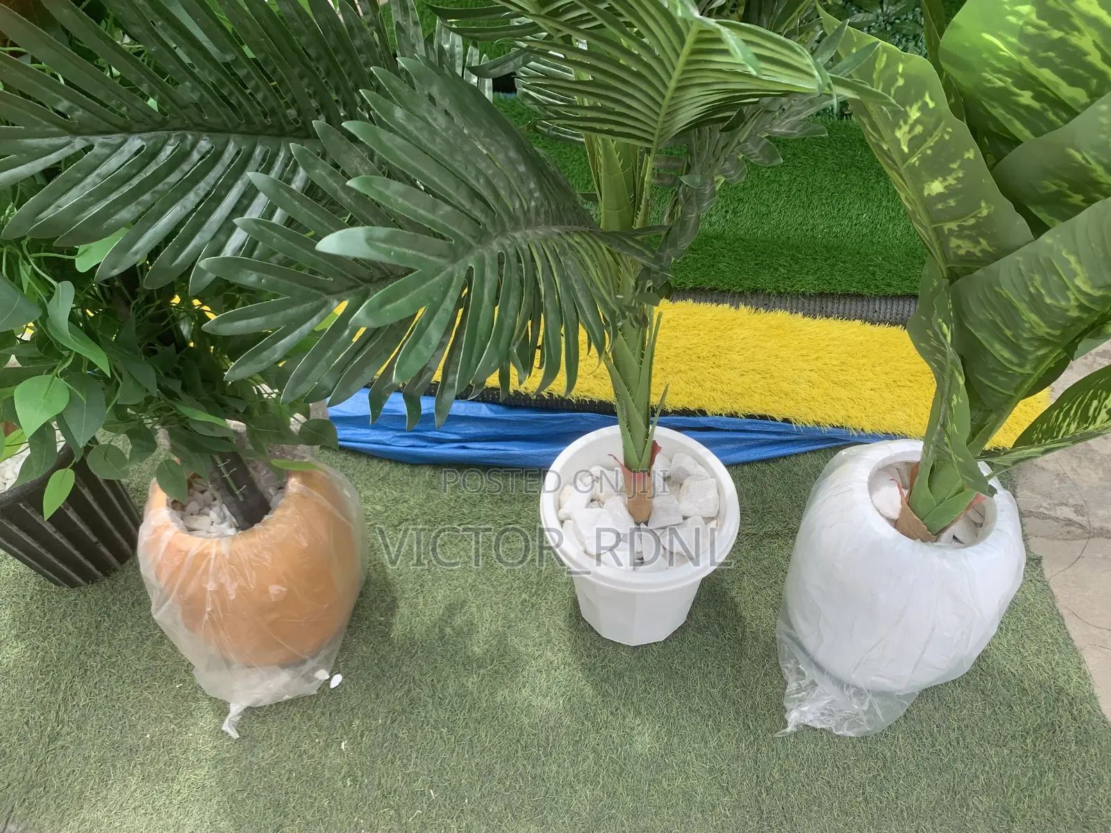 Flower Pots