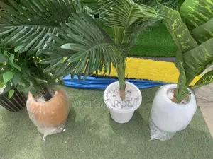 Flower Pots