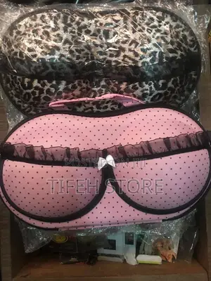 Bra Storage