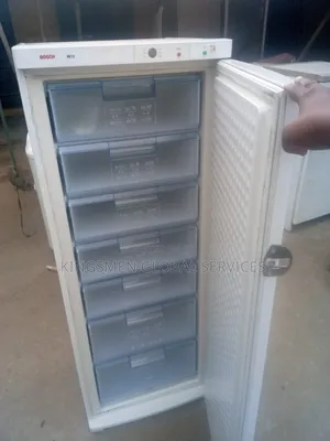 High Quality Heavy-Duty Bosch Standing Freezer for Iceblock