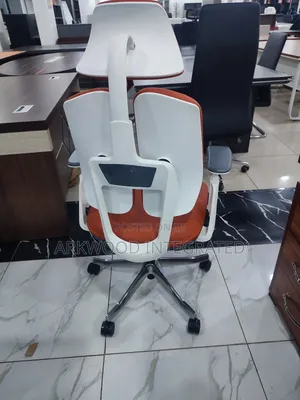 Orthopaedic Office Chair
