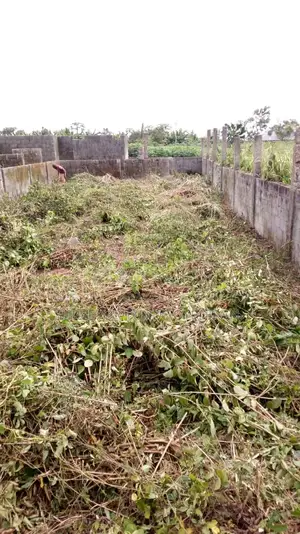 Fence Gated Full Plot of Land Along Ogudu Road Near Anglican Church