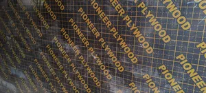 Pioneer Plywood