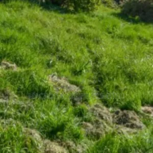 For Sale 2500sqm Land on Cooper Rd, Old Ikoyi, Lagos