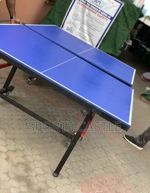 Water and Sun Resistant Outdoor Table Tennis Board