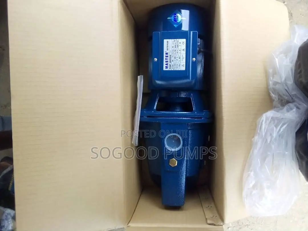 Master Surface Pump 2hp Long Head