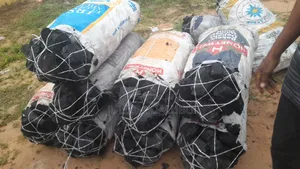 Hardwood Charcoal