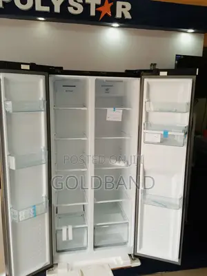Best Powerful 500L Polystar Fridge Pv-Ss775wd-Inv