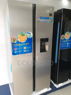 Affordable 436L Side by Side Inverter Fridge Pv-Sbs666wd-Inv