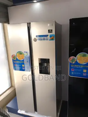 The Best Affordable Pv-Sbs666wd-Inv Polystar Fridge