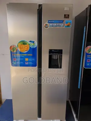 New in Stock Pv-Sbs666wd-Inv Polystar Fridge
