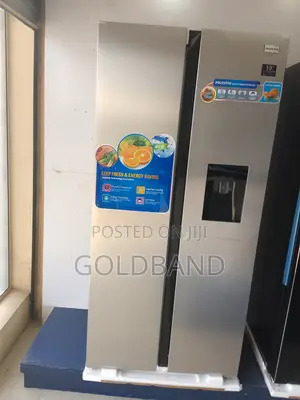 New Avaliable 436L Polystar Fridge "Pv-Sbs666wd-Inv"