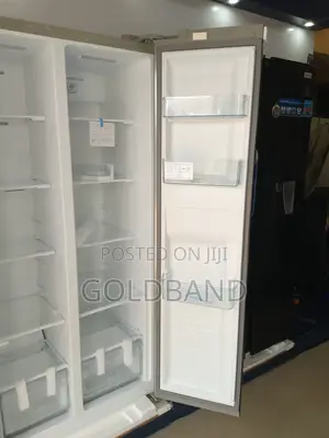 Responsive "Pv-Sbs666wd-Inv" 436L Polystar Fridge