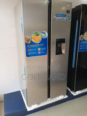 New Efficient "Pv-sbs666wd-inv" Polystar Fridge